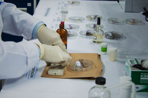 Spécialisation en Médecine Légale
