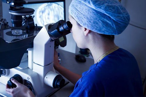 Doctorat (PhD) en Oncologie