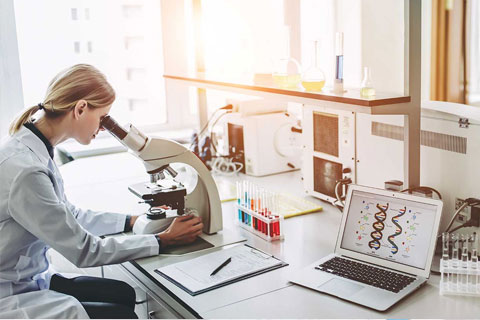 Doctorat (PhD) en Biotechnologie